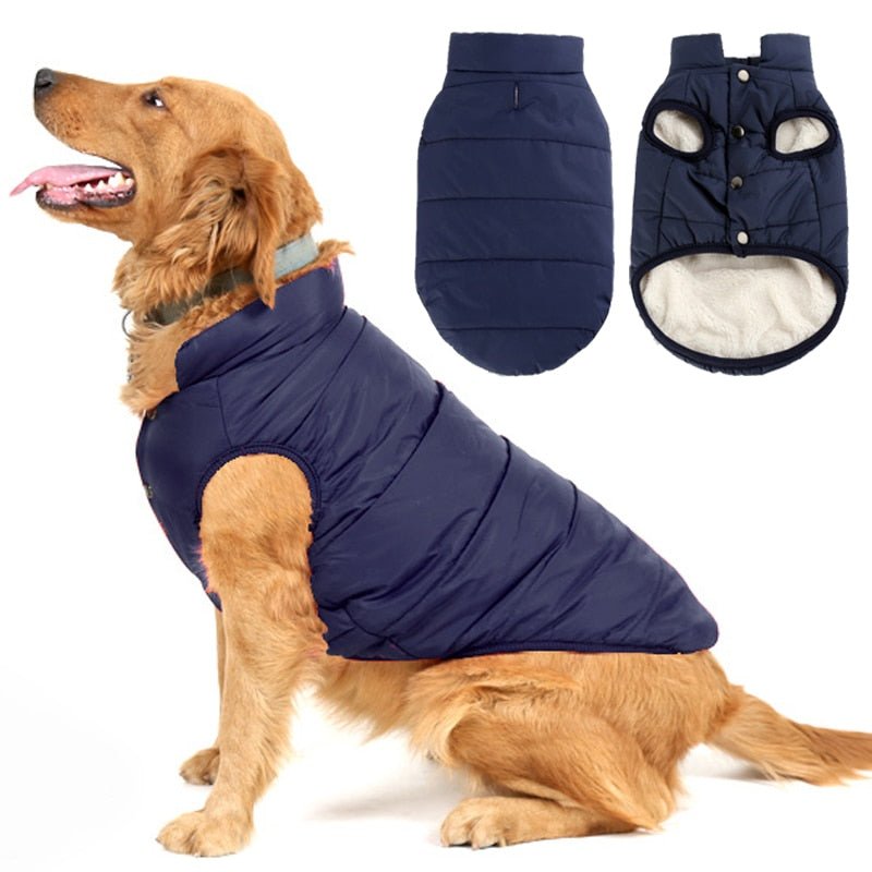 Colete Pet Steve™ | Roupa Para Cachorro - Neoshop