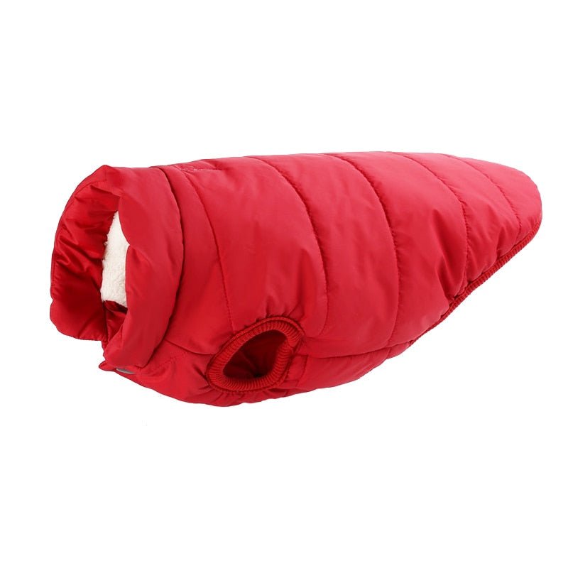 Colete Pet Steve™ | Roupa Para Cachorro - Neoshop