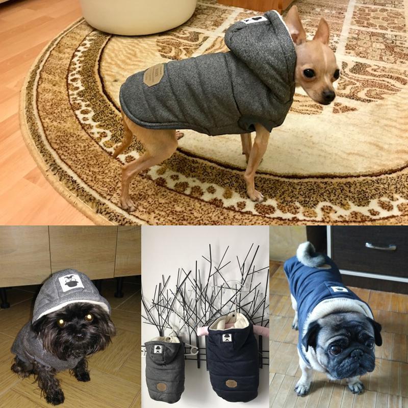 Colete de Inverno para Cachorros | Gentleman - Neoshop