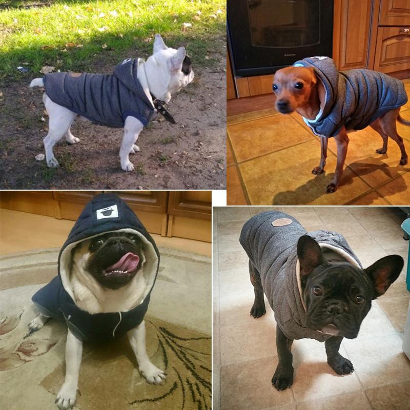 Colete de Inverno para Cachorros | Gentleman - Neoshop