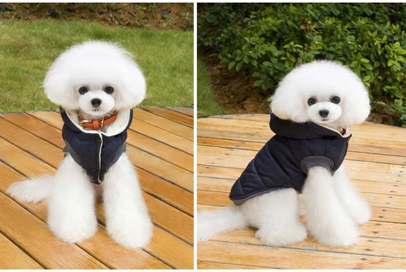 Colete de Inverno para Cachorros | Gentleman - Neoshop