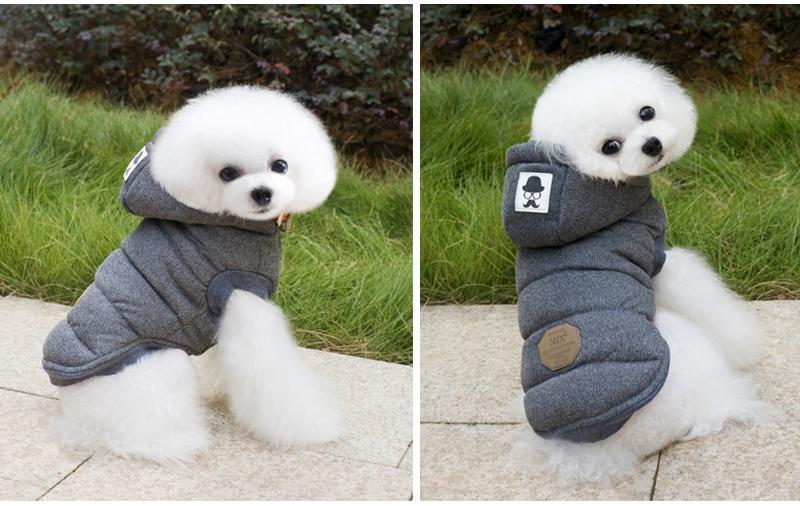 Colete de Inverno para Cachorros | Gentleman - Neoshop